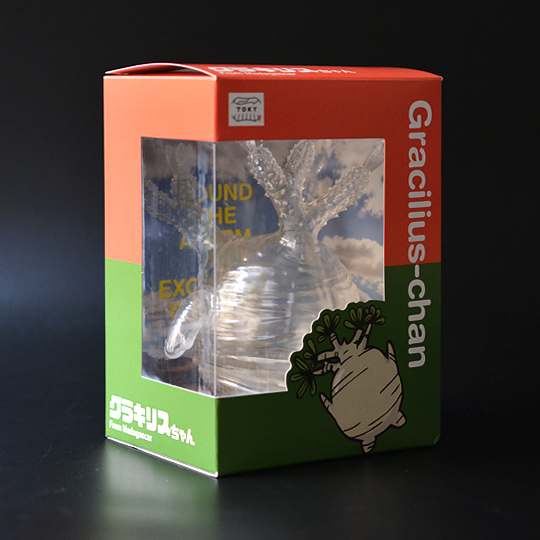 ソフビ製グラキリスちゃん (Clear) | 多肉植物・特別な鉢の販売