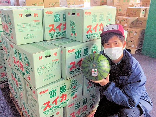 千葉県『西瓜』 - 東京青果株式会社