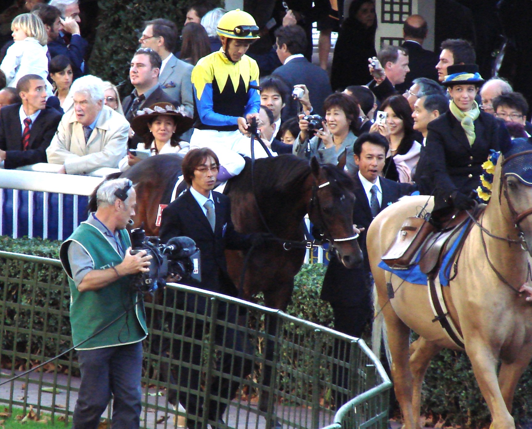 コラム詳細｜東京サラブレッドクラブ