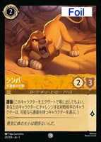 オーロラ 夢見る守護者【ロルカナお買得価格通販：CBトレコロ】