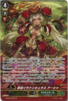 ラナンキュラスの花乙女 アーシャ【ヴァンガードトレカお買得価格通販