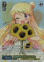 カードを買う/ヴァイスシュヴァルツ/2025年度作品/きんいろモザイク