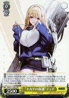 カードを買う/ヴァイスシュヴァルツ/2024年度作品/勝利の女神：NIKKE