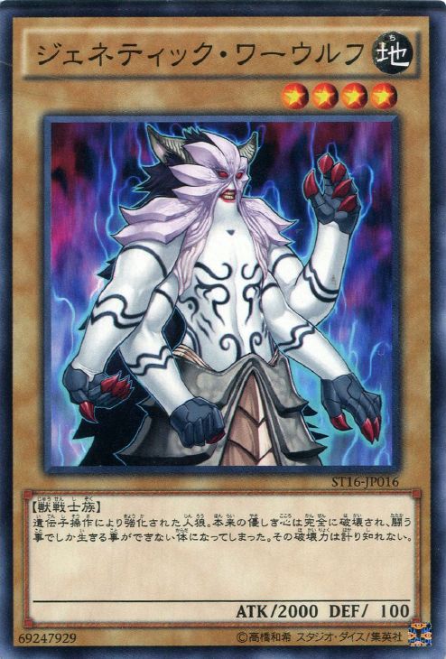 ジェネティック・ワーウルフ【遊戯王トレカお買得価格通販：CBトレコロ】