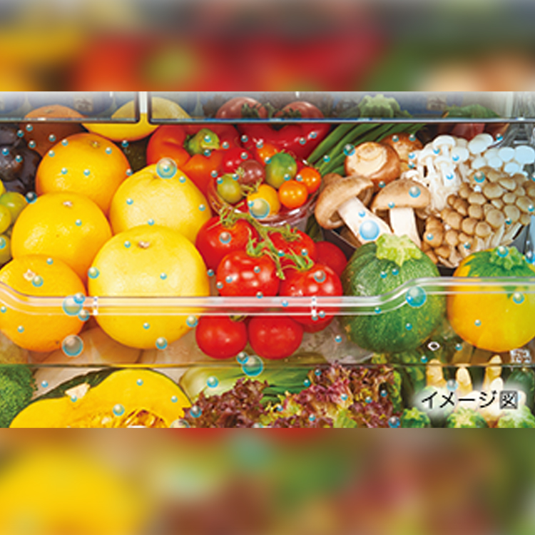 GR-V460FH | 冷蔵庫 | 東芝ライフスタイル株式会社