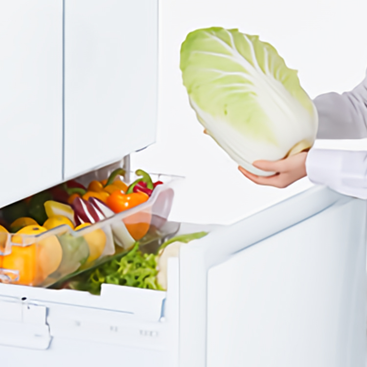 GR-V510FK | 冷蔵庫 | 東芝ライフスタイル株式会社