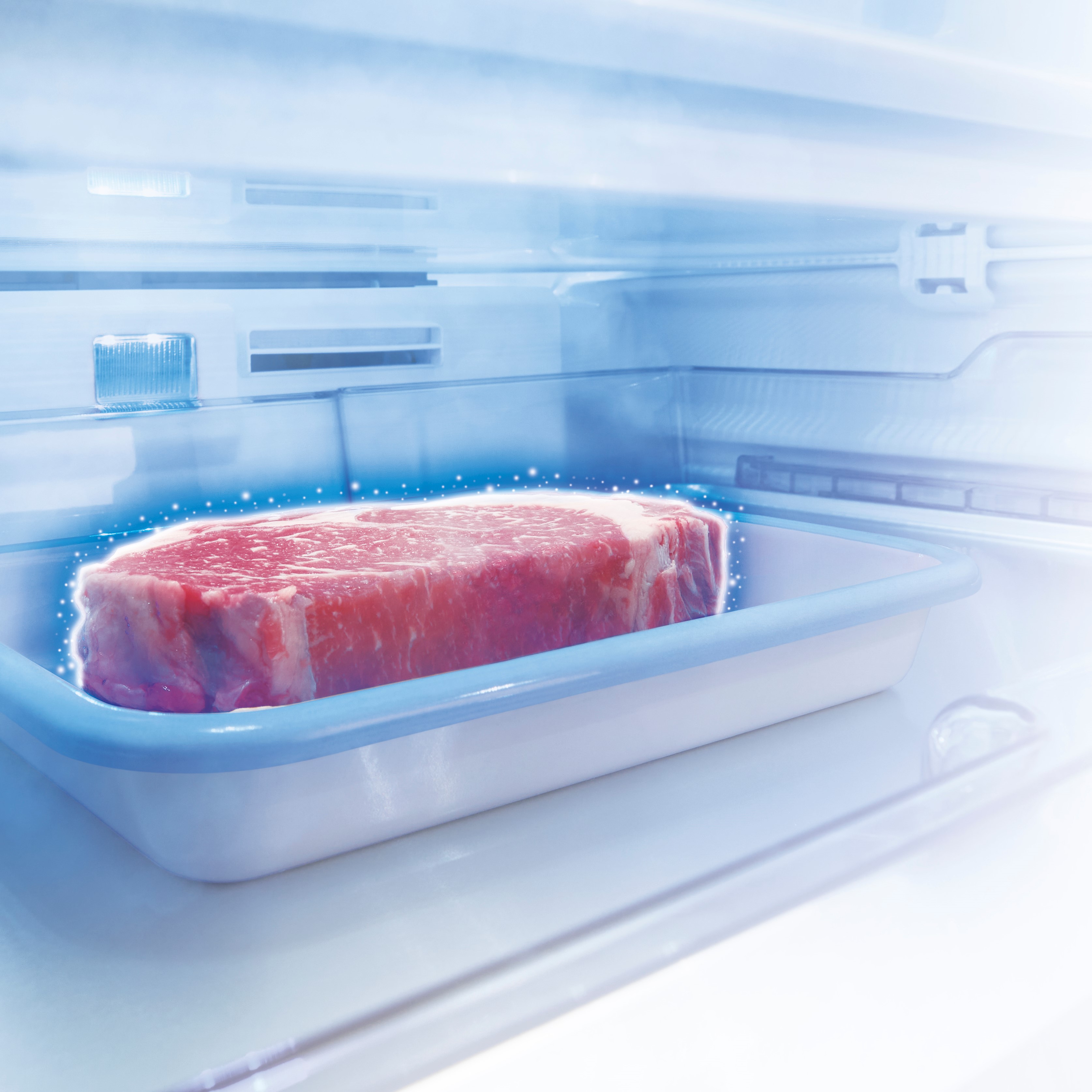 GR-V600FZ | 冷蔵庫 | 東芝ライフスタイル株式会社