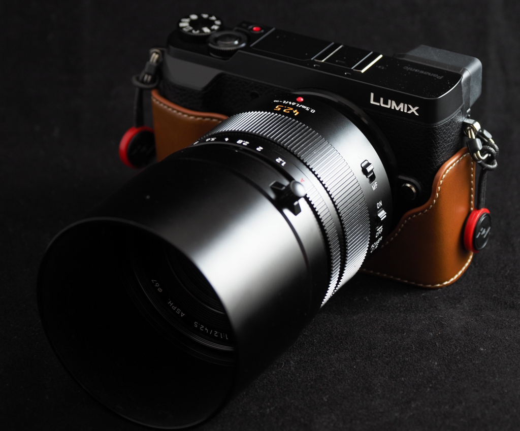 最高に濃厚で濃密な描写 NOCTICRON 42.5mm F1.2 - toshiboo's camera