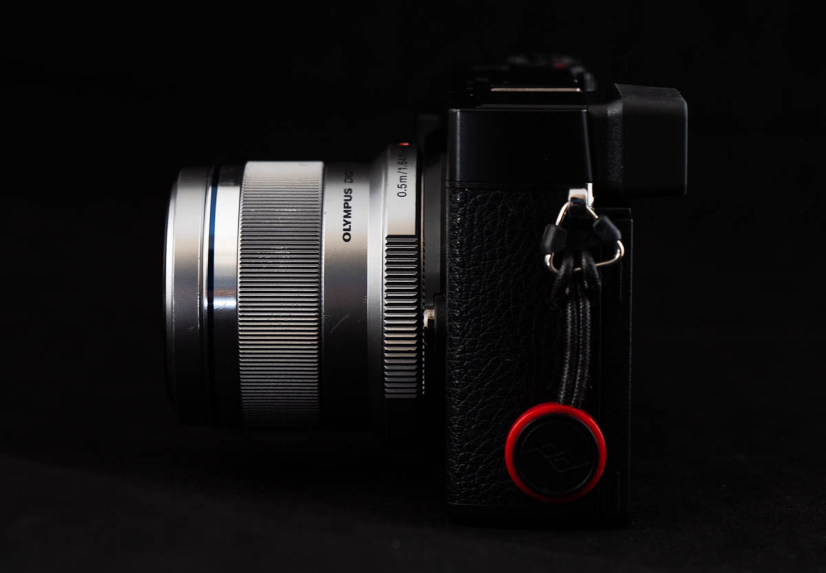 中望遠撒き餌レンズ M.ZUIKO DIGITAL 45mm F1.8 レビュー【マイクロ