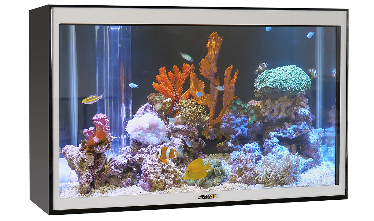 魚八景 4Kの販売｜東信電気株式会社