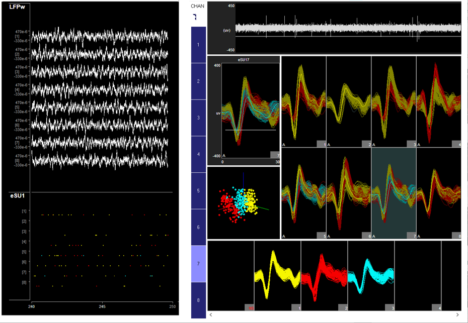 Synapse - Neurophysiology Suite | TDT Neuroscience Tools