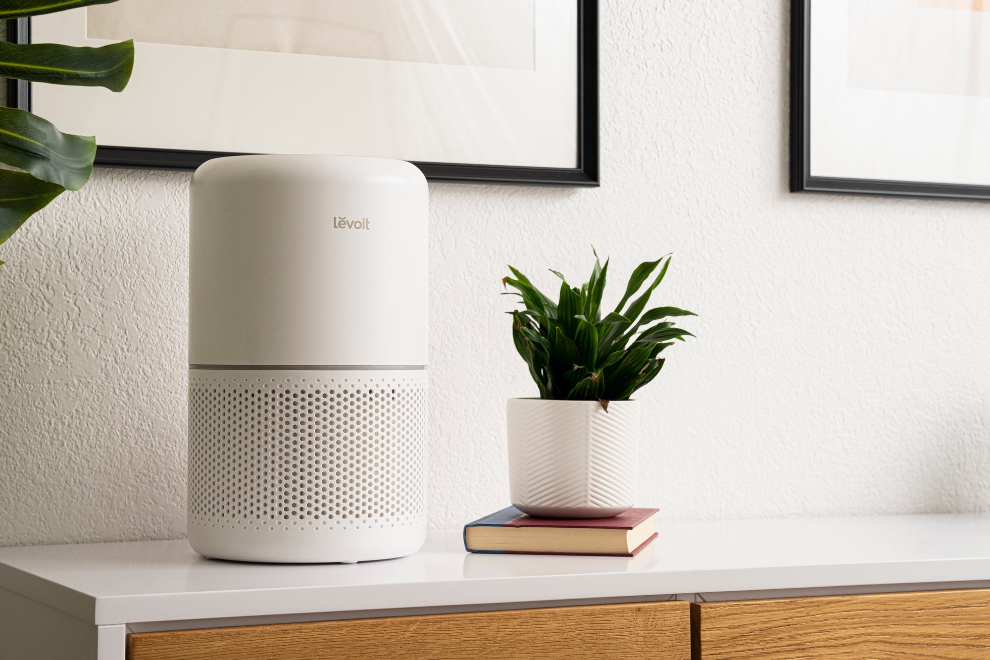 Levoit VeSync Core 300S Smart Air Purifier review: A pint-sized