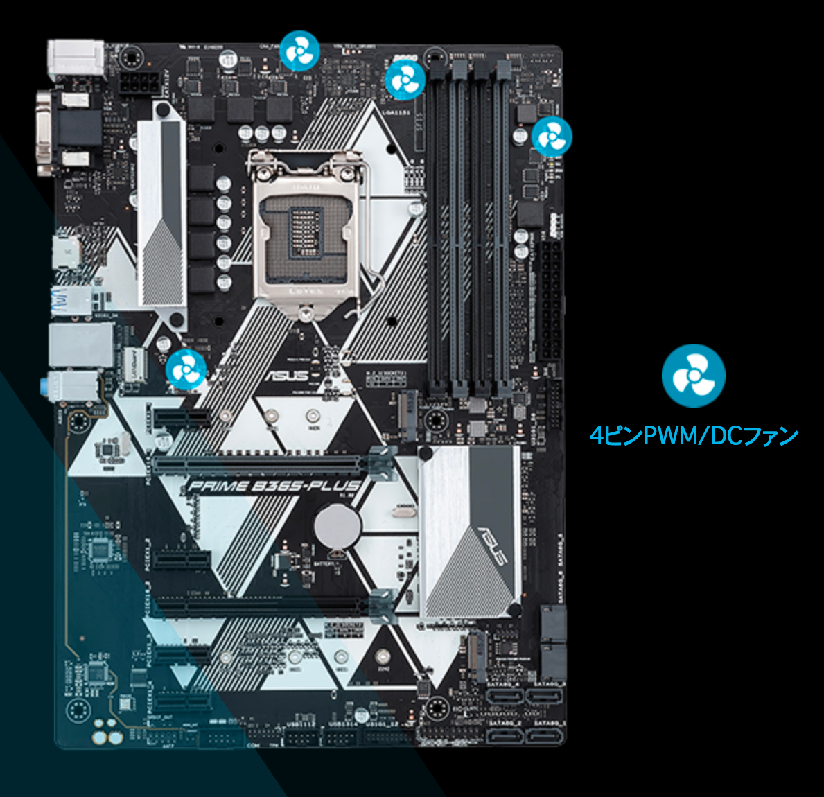 ASUS（エイスース） PRIME B365-PLUS｜テックウインド株式会社