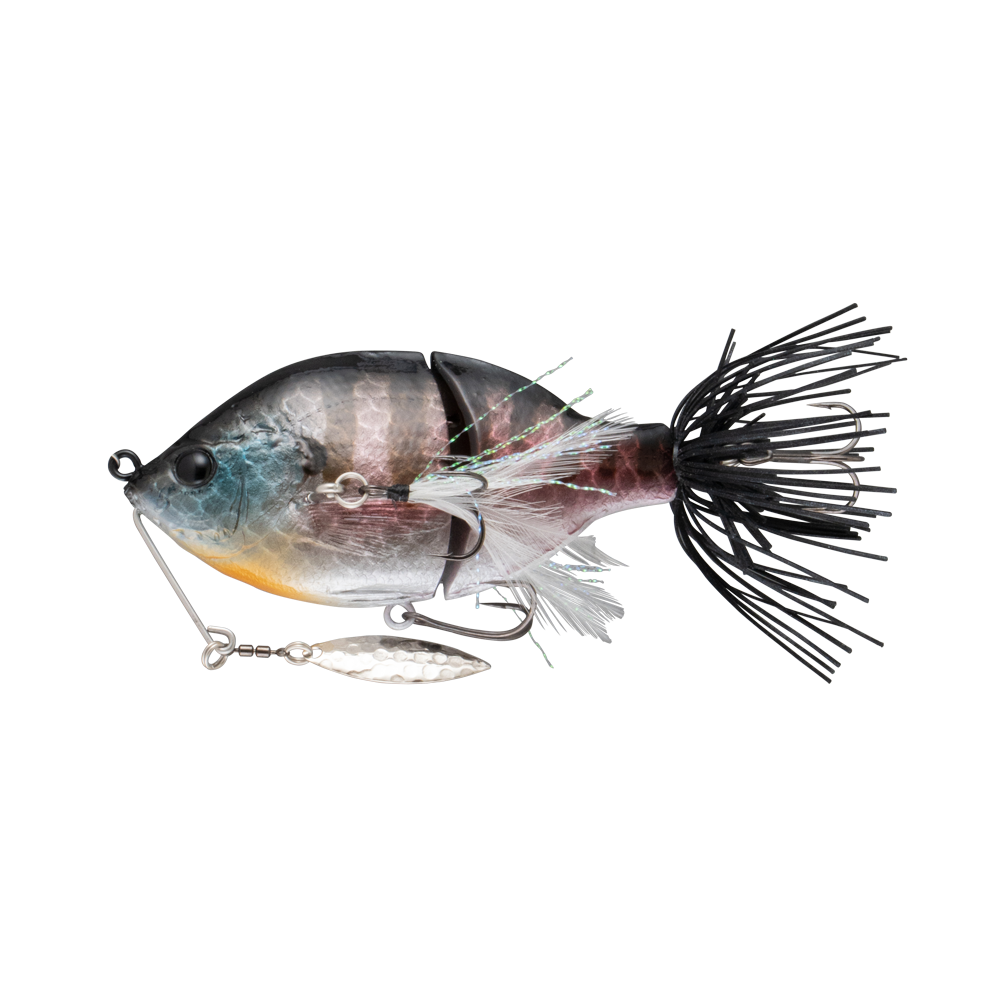 ZOE SERIES [tailwalk limited color] | tailwalk