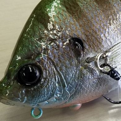 ZOE SERIES [tailwalk limited color] | tailwalk