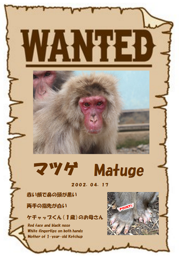 夏休みイベント2024 | 高尾山さる園ブログ