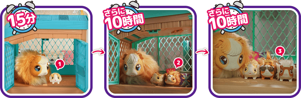 3匹の赤ちゃんが誕生！？ママサプライズ！｜タカラトミー