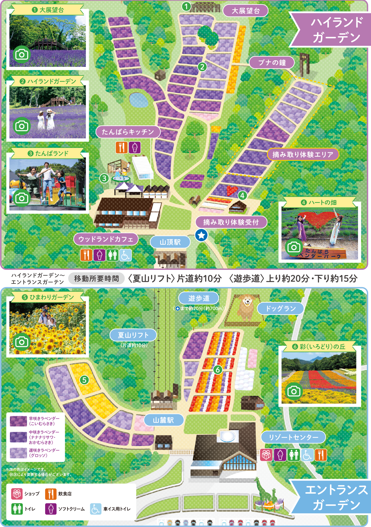 公式】たんばらラベンダーパーク│園内マップ