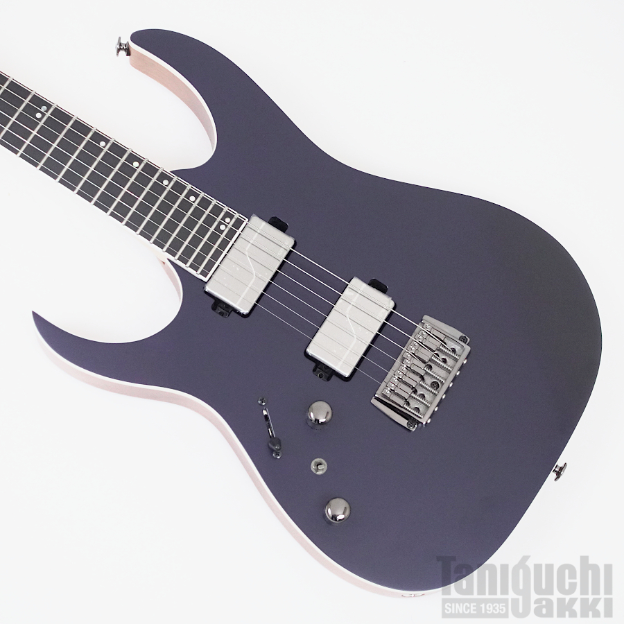 Ibanez - 谷口楽器