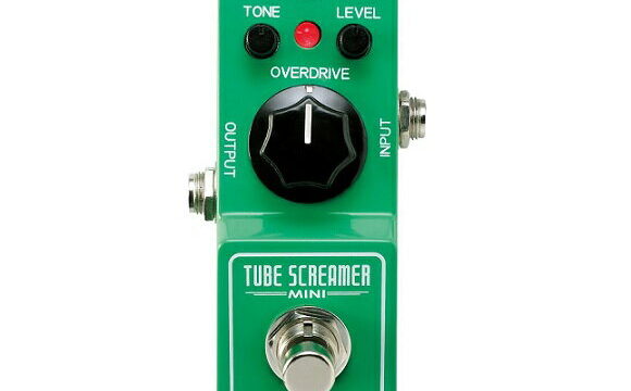 レビュー】Vivie WildCat Vivieはいいぞ！この歪み、使えるぞ