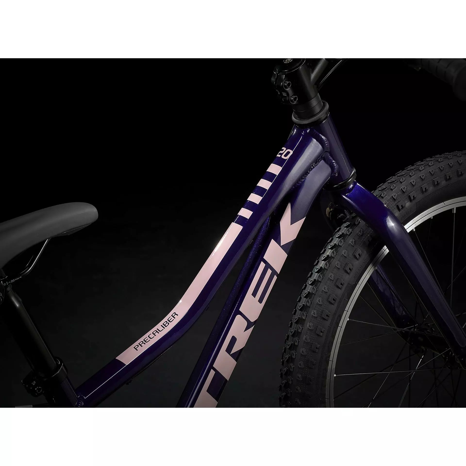 Trek Precaliber 20 Girl's Single Speed Purple Abyss – The Bicycle