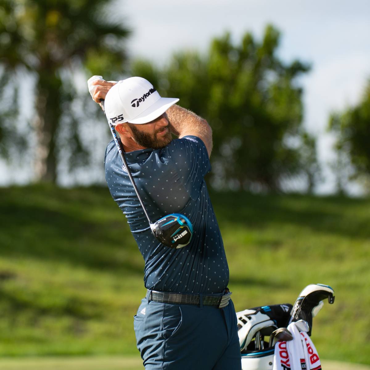 LA Golf DJ Signature Series Wood Shaft – The Golf Club Trader