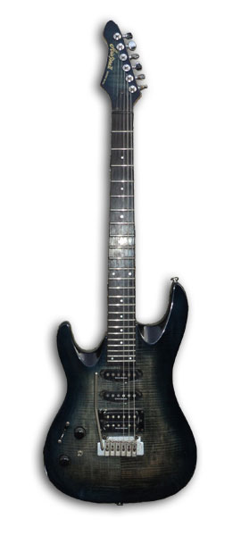 Aria Pro 2 Magna Series - The Guitar Collection