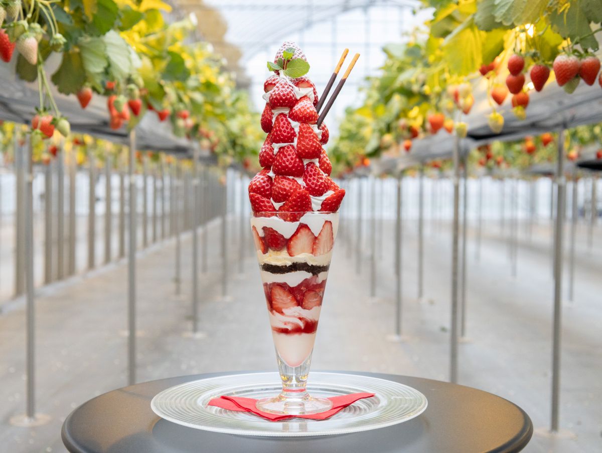 THE FARMカフェから、完熟いちご25個を乗せた夢のパフェ「星降る