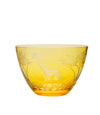 テレジアンタール|サファリ Safari