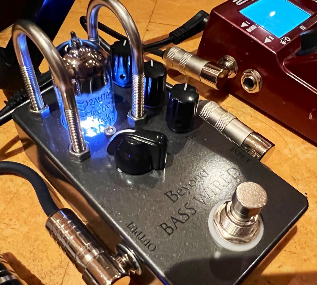 beyond bass wiredレビュー】ayaka haraguchi /原口彩香さん | Things Blog