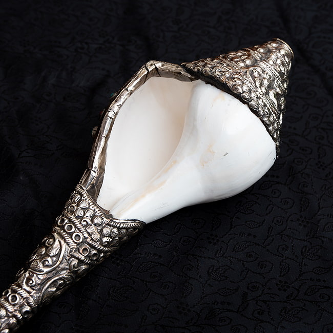 宗教法具 シャンカ・トゥンカル（法螺貝） の通販[送料無料