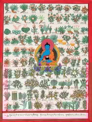 一点物〕タンカ - チベット医学四部医典薬草図[36x48cm] の通販[送料