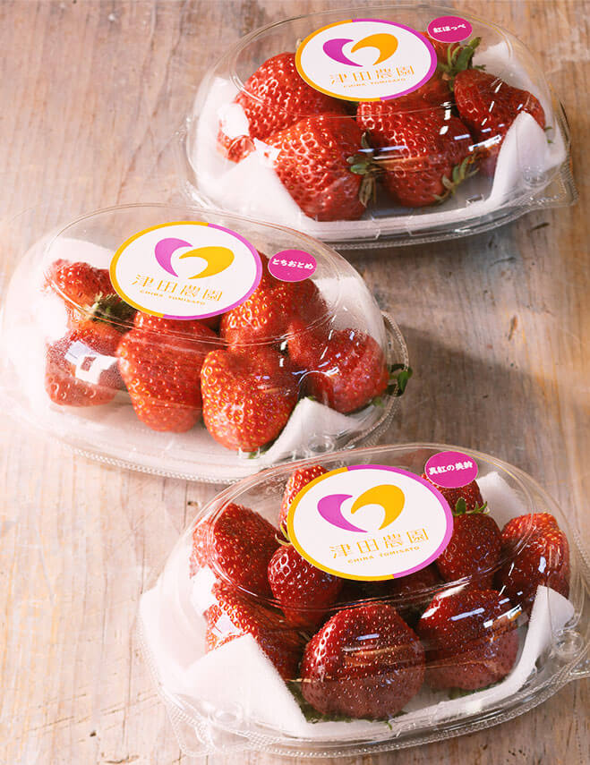 千葉県富里市でいちご狩り｜真紅の美鈴｜予約制｜成田市・酒々井