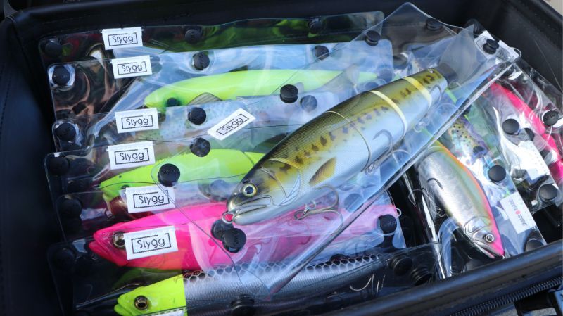 スレイジ ビッグベイトラッピング ストレージタイプ：L□ネコポス対象