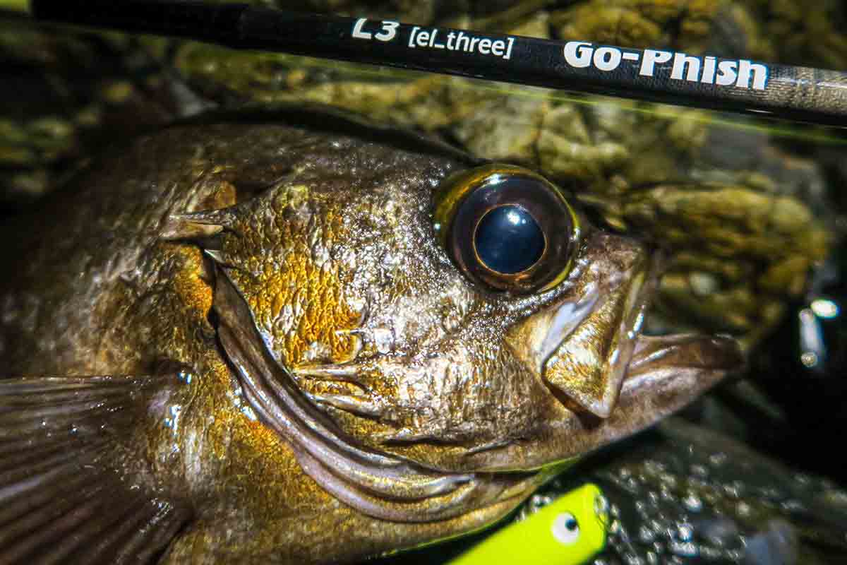 ロッド]Go-Phish ゴーフィッシュ L3 torzite □ネコポス対象外□の通販