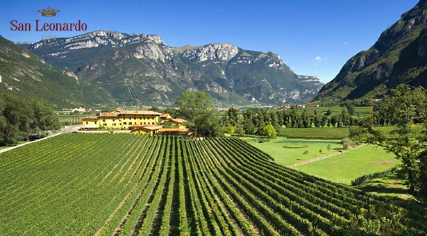 テヌータサンレオナルド,トレンティーノアルトアディジェ,ジャコモ