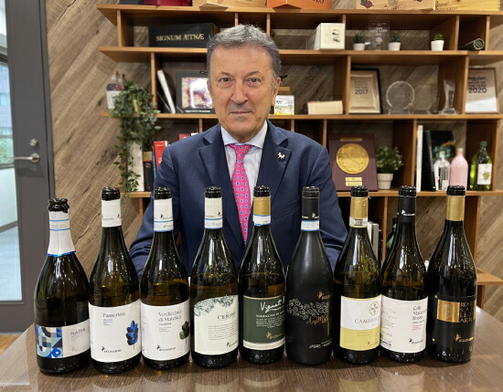 トスカニー イタリアワイン専門店 / ヴァルボーナ ヴェルディッキオ