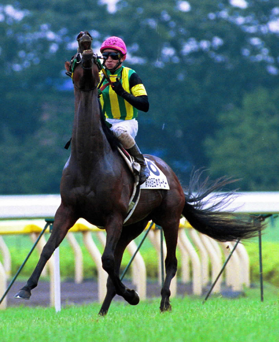 勝利の咆哮 ダービー馬 “ジャングルポケット” 東京では負けない馬