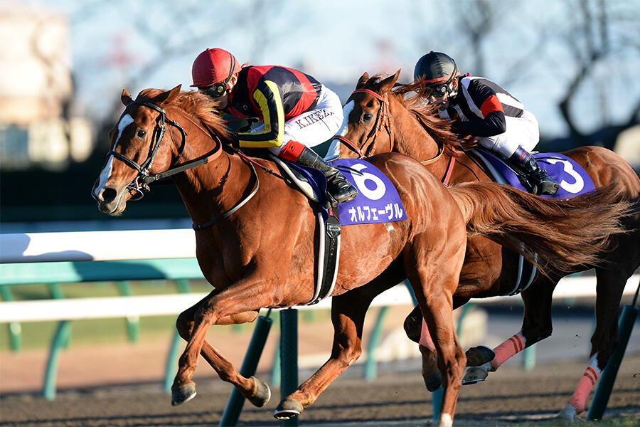 オルフェーヴル 暴君の成長 あまりに美しすぎる金色の馬のラストラン