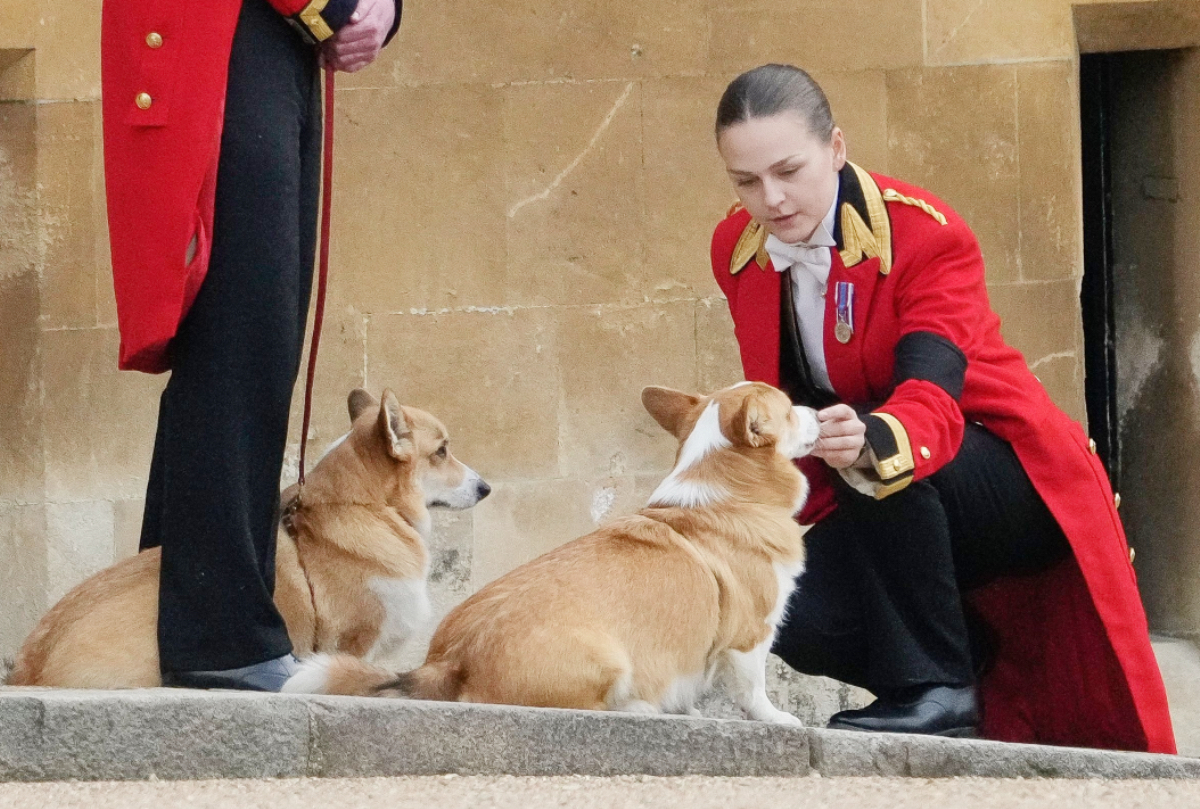 エリザベス女王のペットのコーギーとポニーも葬儀に参加！ 女王に最後