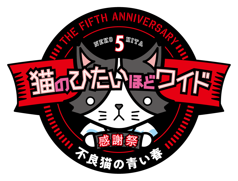 tvk 猫のひたいほどワイド 祝5周年感謝祭 ～不良猫の青い春