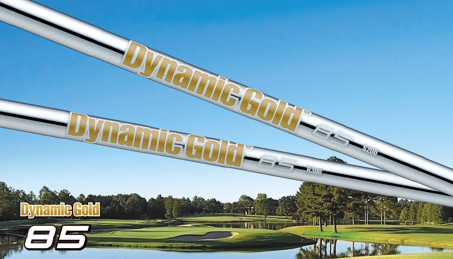 Dynamic Gold 85 - トゥルーテンパースポーツインクジャパン