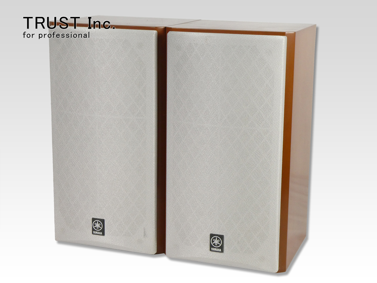 NS-M525 / Speaker System【中古放送用・業務用 映像機器・音響機器の