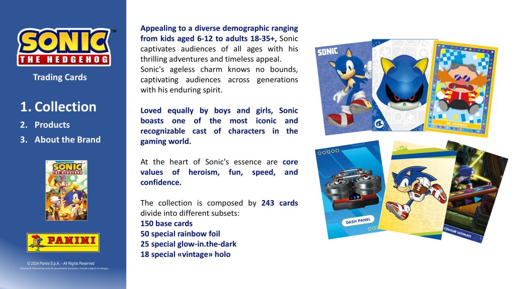 2024 PANINI SONIC THE HEDGEHOG TRADING CARDS STARTER PACK【製品