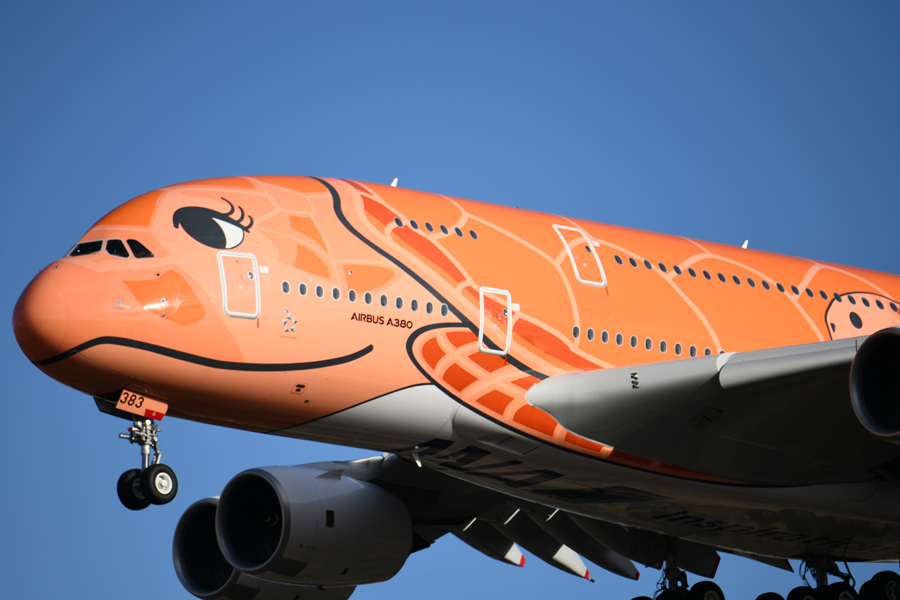 ANA、「フライングホヌ」3号機を年度内に就航へ - TRAICY（トライシー）