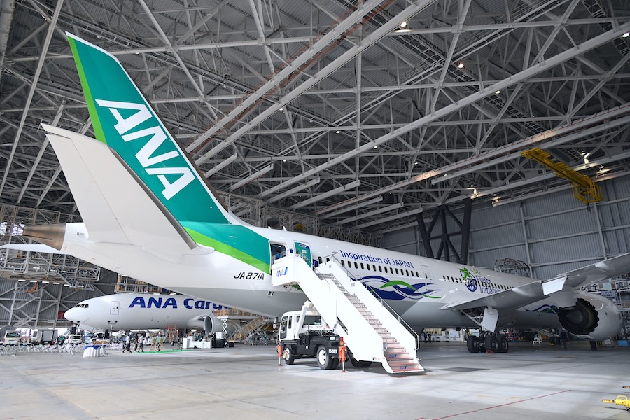 緑の塗装のANA機が登場 「ANA Green Jet」、10月5日の羽田