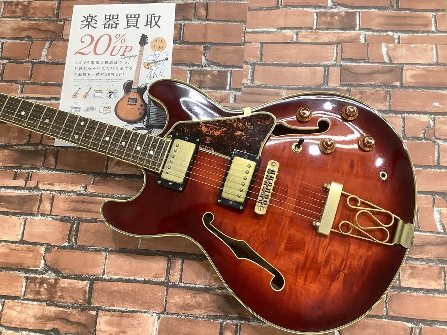 Aria Pro 2 TA-02 セミアコギターを買取入荷致しました。｜2022年04月