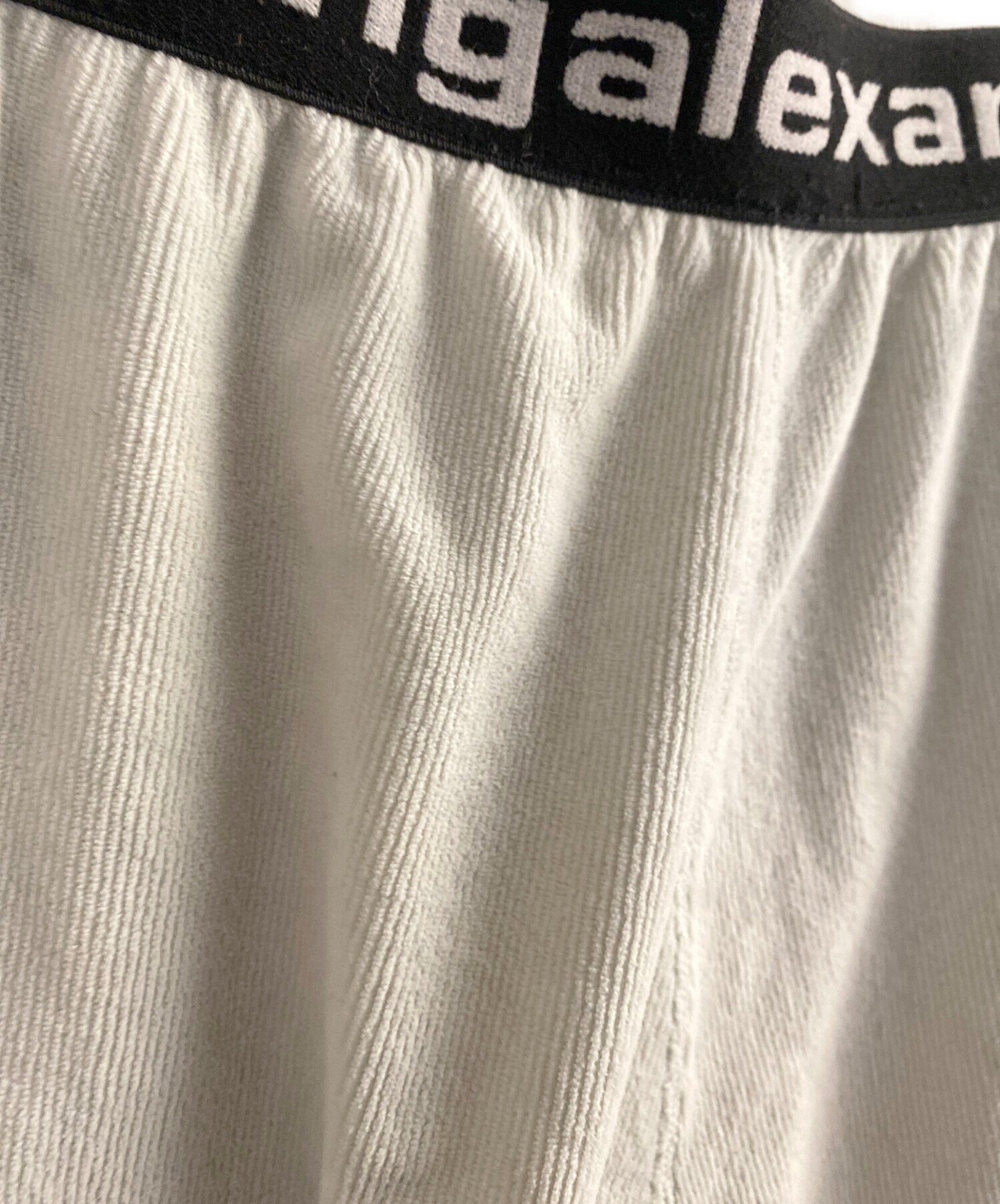 中古・古着通販】ALEXANDER WANG (アレキサンダー・ワン) ロゴバンド