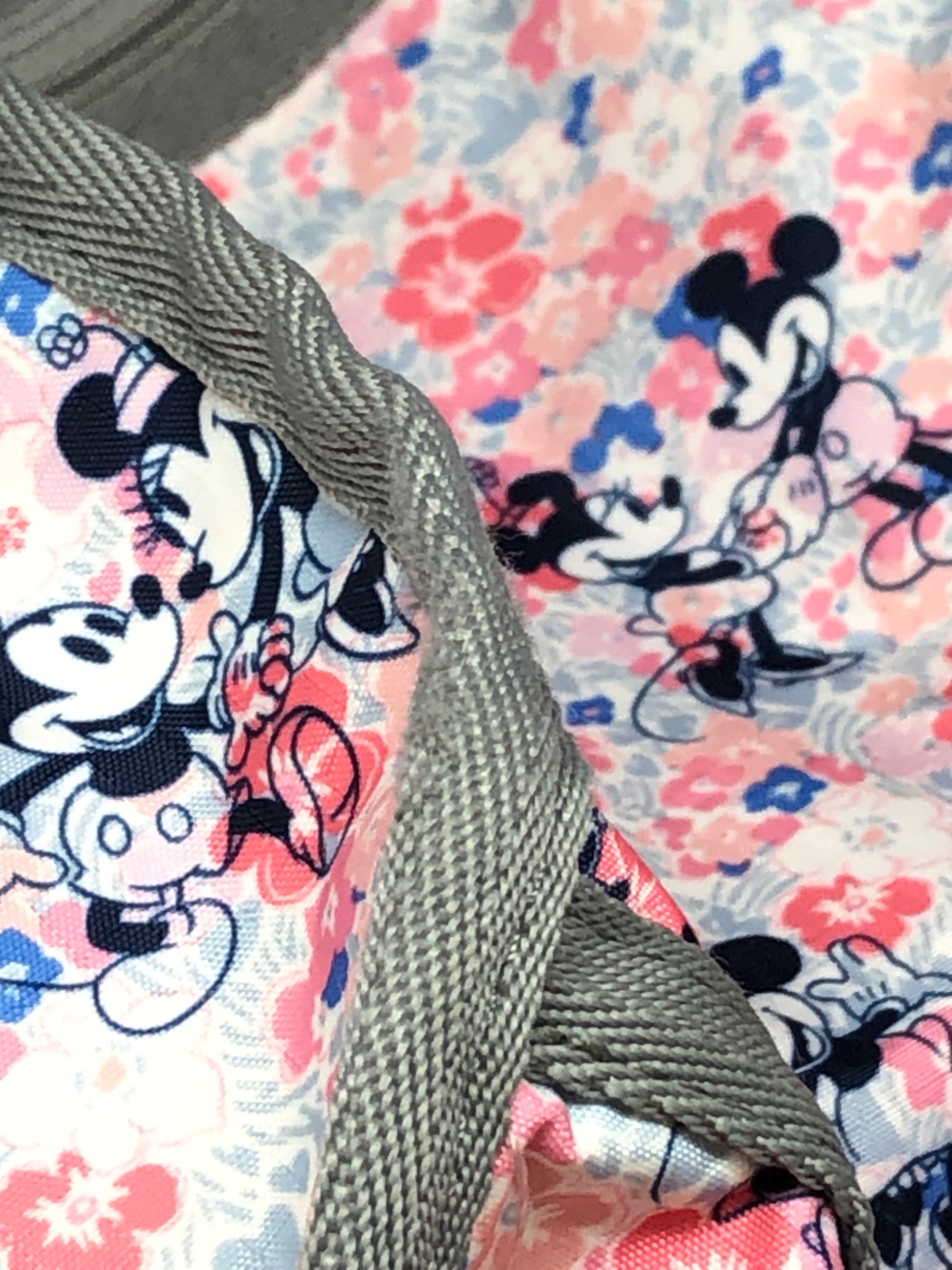 中古・古着通販】LeSportsac (レスポートサック) DISNEY (ディズニー