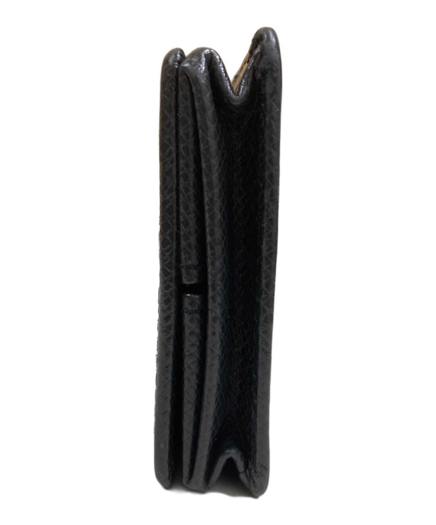 中古・古着通販】LOUIS VUITTON (ルイ ヴィトン) コインケース タイガ